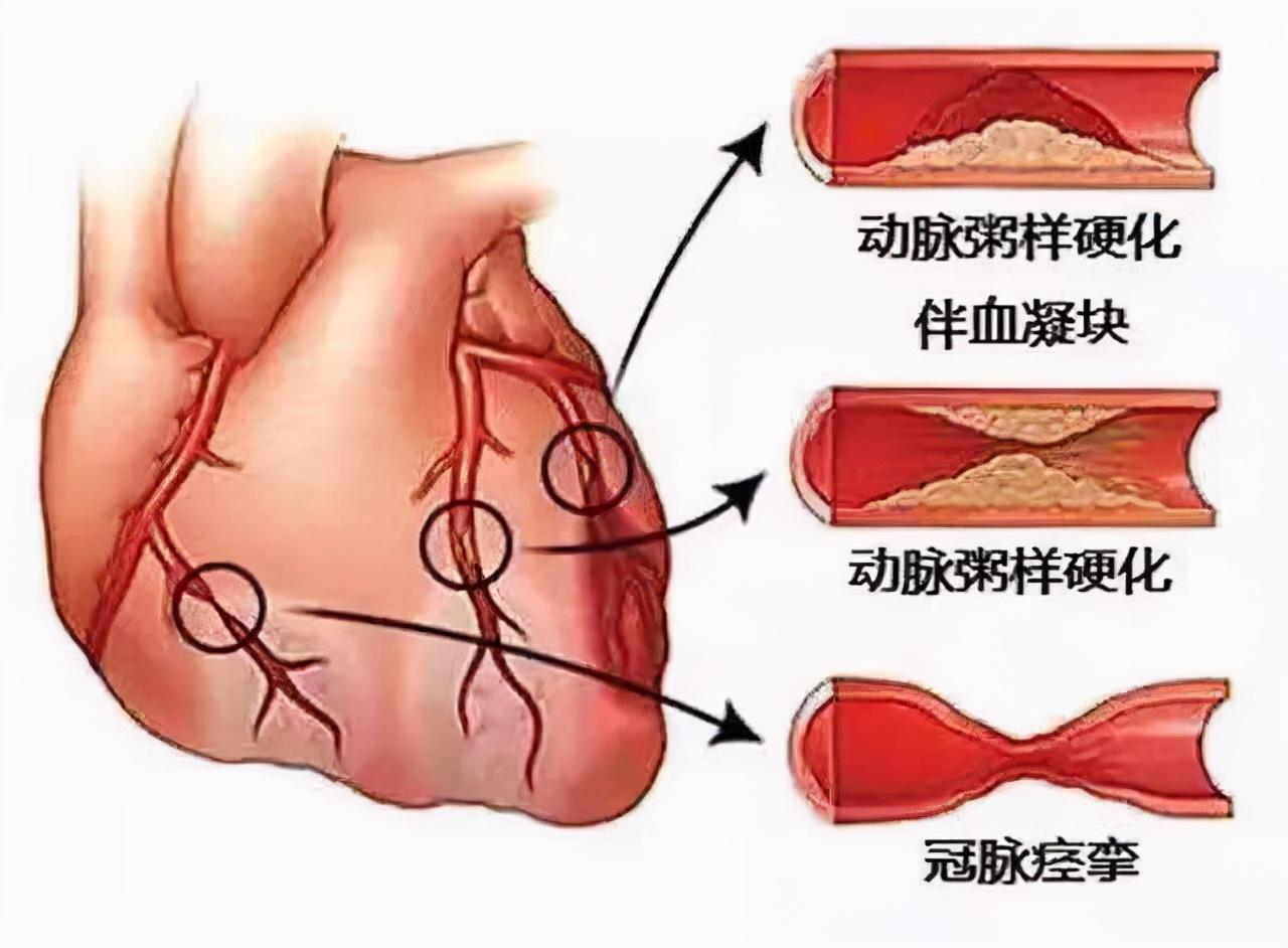 鹿死谁手 第5页