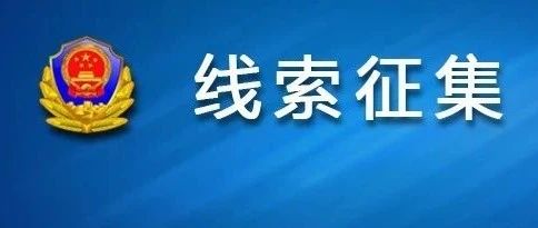 2025年1月10日 第52页