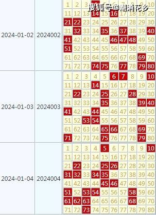 2024年天天开好彩,迈向2024年，天天开好彩——生活的美好蓝图