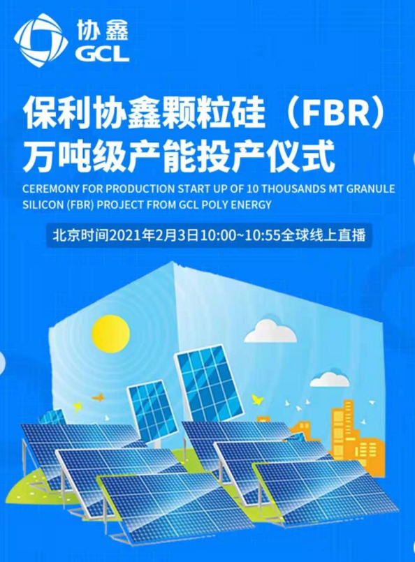 2025王中王资料大全公开,揭秘，2025王中王资料大全公开