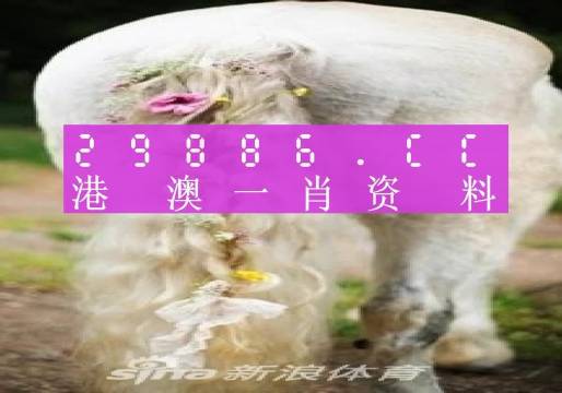 新澳门资料全年免费精准027期 01-05-10-26-27-34U：35,新澳门资料全年免费精准解析，探索第027期的数字奥秘（01-05-10-26-27-34U，35）