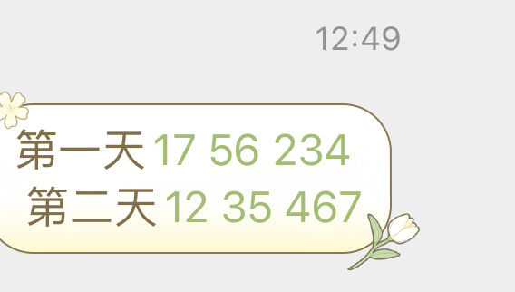 新澳门今晚开特马结果查询025期 05-47-31-33-19-02T：23,新澳门今晚开特马结果查询，探索数字背后的故事（第025期分析）